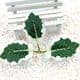 Other Leaves, Artificial fibers, green, Cream colour, 4cm x 6.5cm [approximate], 5 pieces, [ST1097]