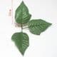 Other Leaves, Cloth and Plastic, green, 6.5cm  x 10cm, 10 pieces, (ST760)