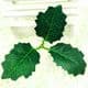 Other Leaves, Cloth, green, 4cm x 6.5cm [approximate], 5 pieces, [ST1100]
