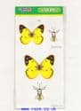 Paper Buterfly kit G, (ok396g)