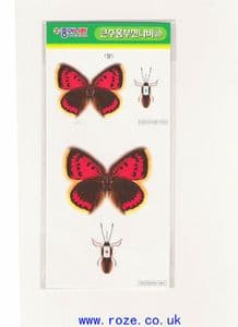 Paper Buterfly kit J, (ok396j)