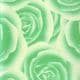 Patterns Shoyu Paper - green Flower, 6 inch (15 cm) square, 15 sheets, (YHZ072)
