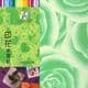 Patterns Shoyu Paper - green Flower, 6 inch (15 cm) square, 15 sheets, (YHZ072)