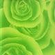 Patterns Shoyu Paper - green Flower, 6 inch (15 cm) square, 15 sheets, (YHZ078)