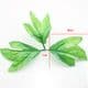 Peony leaf, Cloth and Plastic, Bright green, 9cm x 7cm, 10 pieces, (ST672)