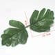 Peony leaf, Plastic, green, Dark red, 9cm  x 10.5cm, 10 pieces, (ST758)