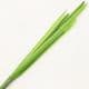 Plastic Flower stem, Plastic, Dark green, 50cm x 8mm, 1 Plastic Flower stems, (SHG0007)