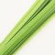 Plastic Flower stem, Plastic, Dark green, 50cm x 8mm, 1 Plastic Flower stems, (SHG0007)