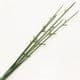 Plastic Flower stem, Plastic, Lime green, 45cm x 1.2cm, 1 Plastic Flower stems, (SHG0009)