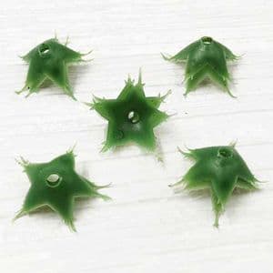 Rose Flower holder, Plastic, green, 2.5cm x 2.5cm, 10 pieces, [ST1647]