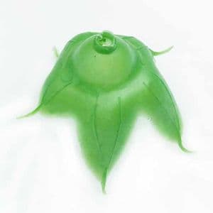 Rose Flower holder, Plastic, Light green, 4cm x 4cm x 3.5cm [approximate], 15 pieces, [ST1054]