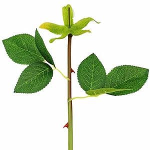 Rosettes Plastic Flower stem, Plastic, green, 30cm, 1 Plastic Flower stems, [SHG0013]