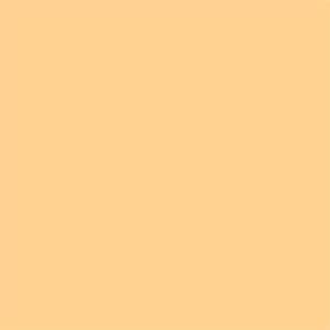 Same Coloured Paper L flesh color, 9.5 inch (23.75cm), 15 sheets, (C208m)