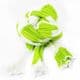 Segmental dyed nylon, Nylon, Bright green, white, Stretched Size 2.5m x 20cm, 1 piece, [SWW0905]