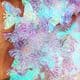 Sequins, Clear colour, 19mm x 23mm, 50 pieces, 5g, Butterfly shape, Sequins are shiny, [CZP611]