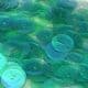 Sequins, Dark green, Diameter 10mm, 250 pieces, 10g, Disc shape, Sequins are shiny, [CZP398]