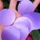 Sequins, Dark purple, Diameter 30mm, 40 pieces, 10g, Disc shape, Sequins are NOT shiny, [CZP557]