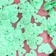 Sequins, Lime green, 6mm x 6mm, 360 pieces, 3g, Heart shape, Sequins are NOT shiny, [CZP652]
