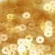 Sequins Sets, [001CZP0138]