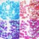 Sequins Sets, [001CZP0186]