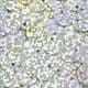 Sequins, Silver colour, Diameter 10mm, 280 pieces, 10g, Disc shape, Sequins are shiny, [CZP245]