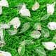 Sequins, white, 9mm x 16mm, 85 pieces, 3g, Leaf shape, Sequins are shiny, [CZP646]