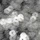 Sequins, white, Diameter 6mm, 520 pieces, 5g, Disc shape, Sequins are NOT shiny, [CZP276]