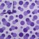 Shoyu patterned textured paper, Dark purple, Light purple, 30cm x 30cm, 5 sheets, [YHZ137]