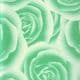 Shoyu patterned textured paper, green, 64cm x 64cm, 60 gsm, 1 sheet, (HKY072)