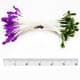 Small flowers stamens, Dark green, Royal purple, 80 pieces [approximate], 5.3cm, [ST1431]
