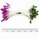 Small flowers stamens, Dark green, Royal purple, 80 pieces [approximate], 5.3cm, [ST1431A]