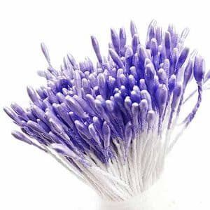 Small flowers stamens, Light purple, 420 pieces [approximate], 6cm, [st1586]