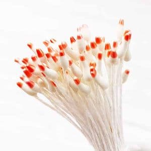 Small flowers stamens, orange, white, 90 pieces [approximate], [ST1614]