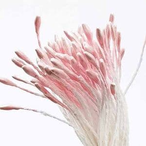 Small flowers stamens, pink, 110 pieces [approximate], 6cm, [ST1453]