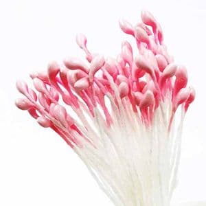 Small flowers stamens, pink, 80 pieces [approximate], 5.5cm, [ST1321A]