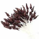 Sparkling stamen, brown, 100 pieces [approximate], 5cm, [ST1416]