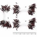 Sparkling stamen, Burgandy, 620 pieces [approximate], 5cm, [ST1500]