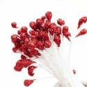 Sparkling stamen, Burgandy, 80 pieces [approximate], 5cm, [ST1435]