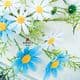 Sunflower Flower holder, Plastic, Dark green, 6cm, 10 pieces, (SHT0003)