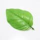 Sunflower leaf, Plastic, green, 11cm  x 19cm, 5 pieces, (ST554)