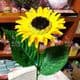 Sunflower leaf, Plastic, green, 8.3cm  x 16cm, 10 pieces, (ST551)