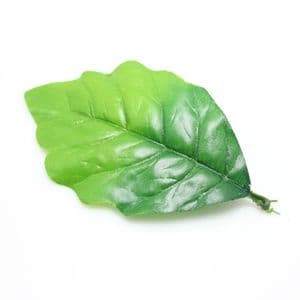 Sunflower leaf, Plastic, green, 8.3cm  x 16cm, 10 pieces, (ST551)