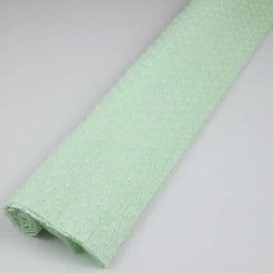 Thick Crepe paper, Light green, 40cm x 100cm, 1 sheet, [CR326]
