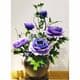 Two colours Specially dyed nylon, Nylon, Dark blue, white, Stretched Size per piece 1.5m x 15cm, 20 pieces, [001SWW0332]