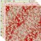 Yuzen Chiyogami floral patterns, Assorted colours, 10cm x 10cm, 30 sheets, [XRC006]