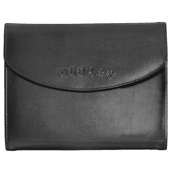 Case for Addi Swings