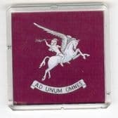 AIRBOURNE FORCES FRIDGE MAGNET