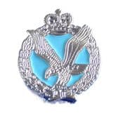 Army Air Corps (AAC) Lapel / Sweetheart Pin