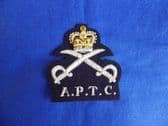 ARMY PHYSICAL TRAINING CORPS BLAZER BADGE