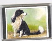 BORDER COLLIE LARGE FRIDGE MAGNET 3